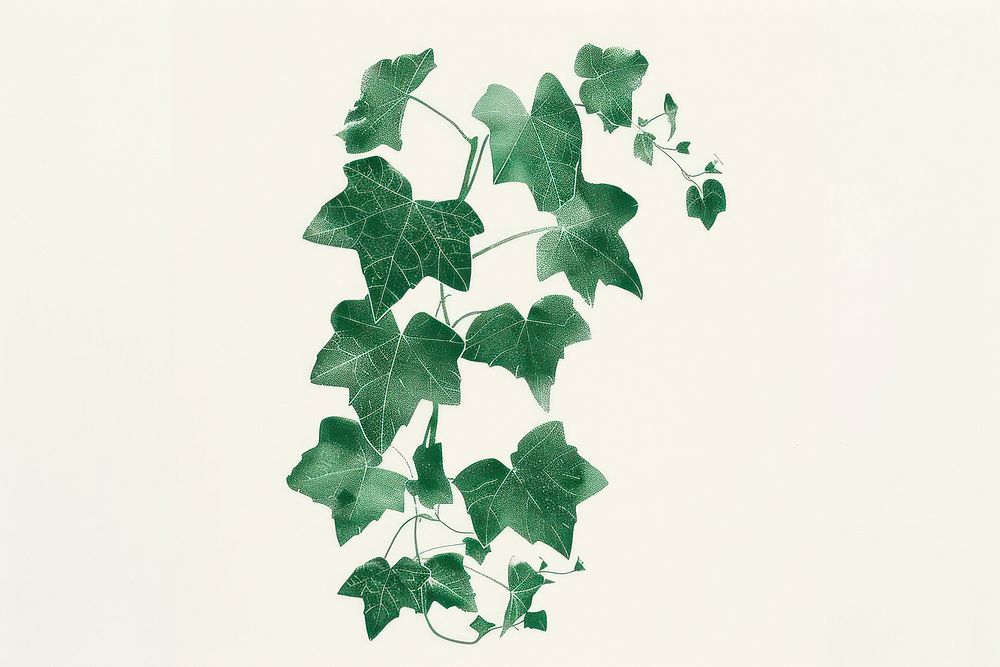 Risograph printing illustration of ivy plant leaf pattern.