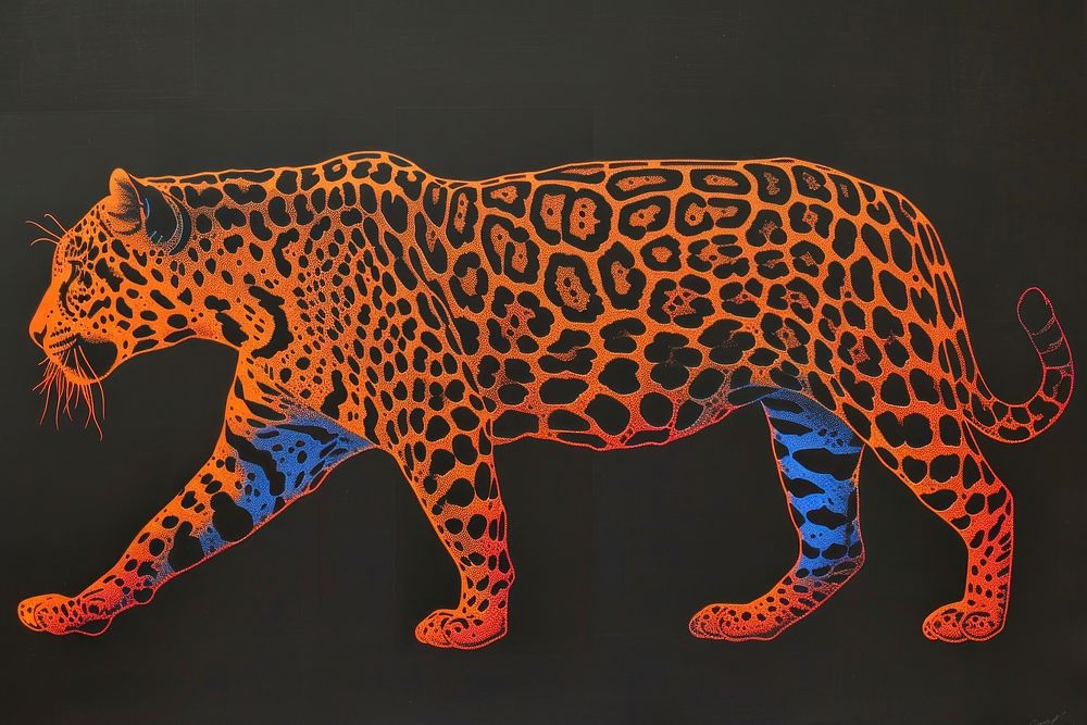 Jaguar walking leopard animal mammal.