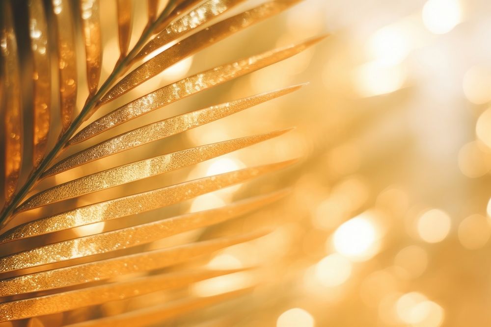 Gold palm tree branch glitter backgrounds light.