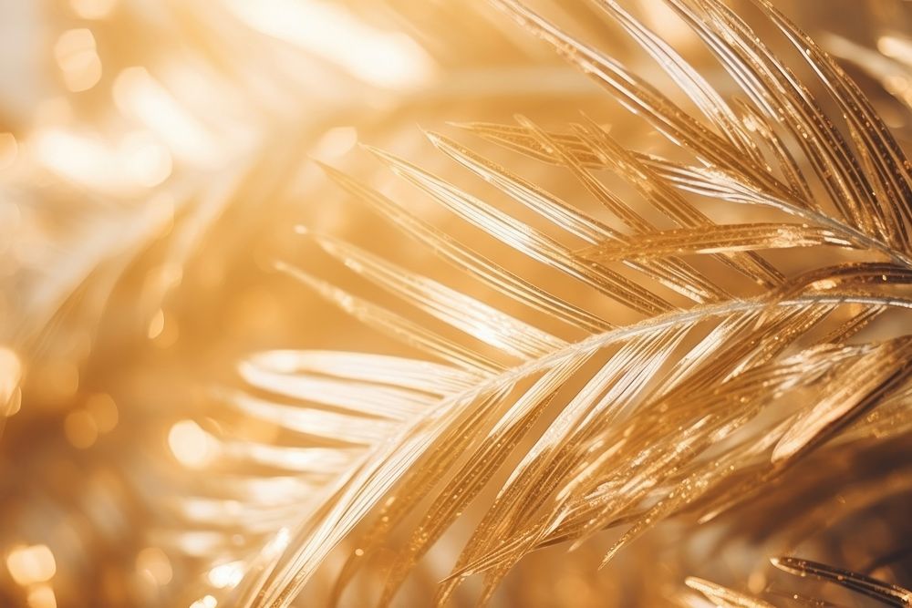 Gold palm tree branch backgrounds christmas light.