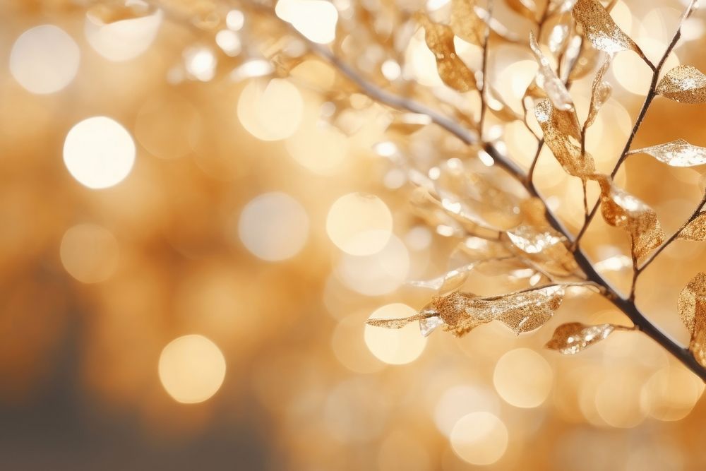 Gold tree branch backgrounds outdoors glitter.