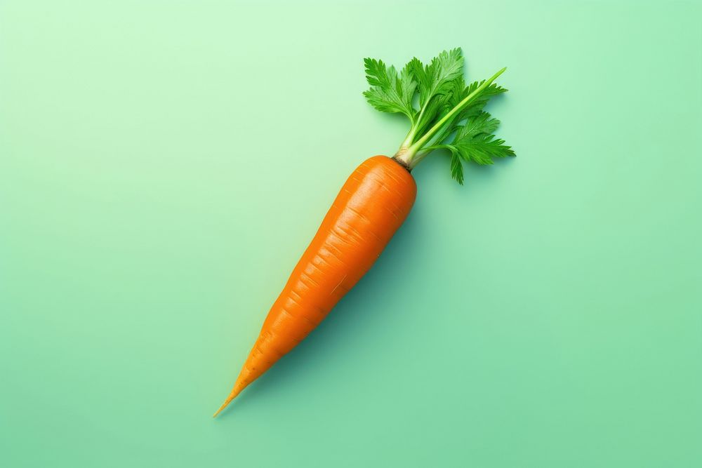Carrot carrot vegetable plant.