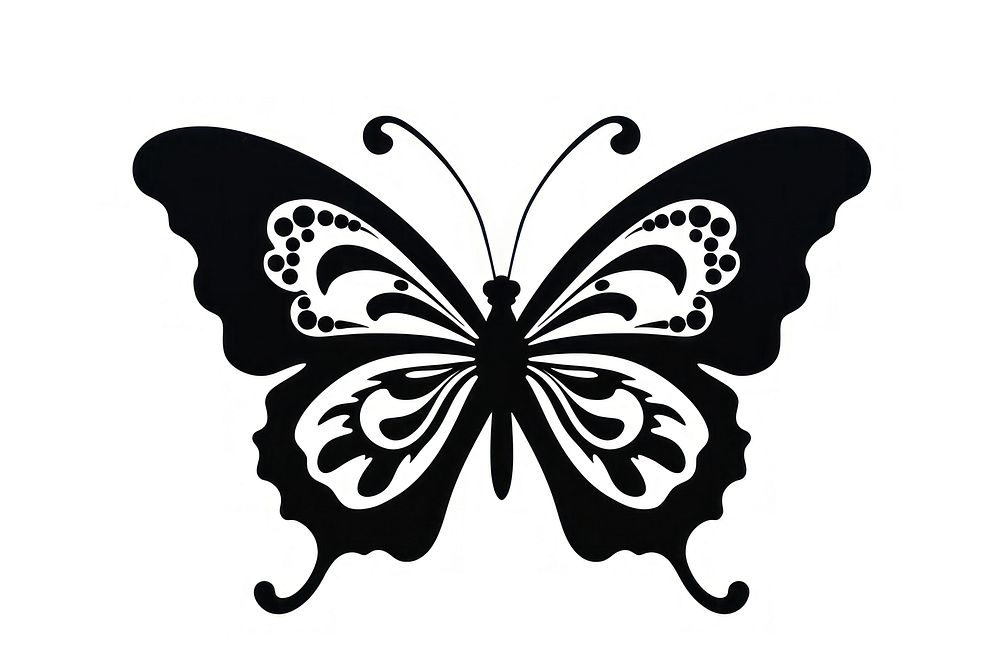 Frame butterfly silhouette animal white.