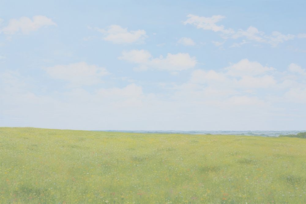 Meadow Field field sky grassland.