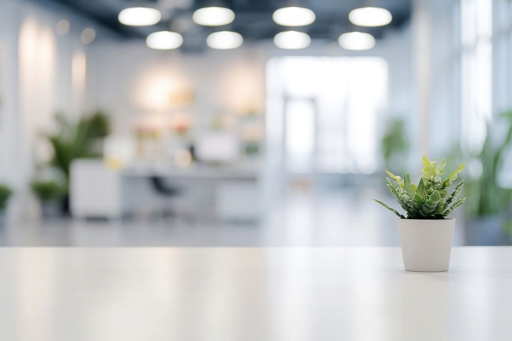 White office bokeh background plant vase architecture.