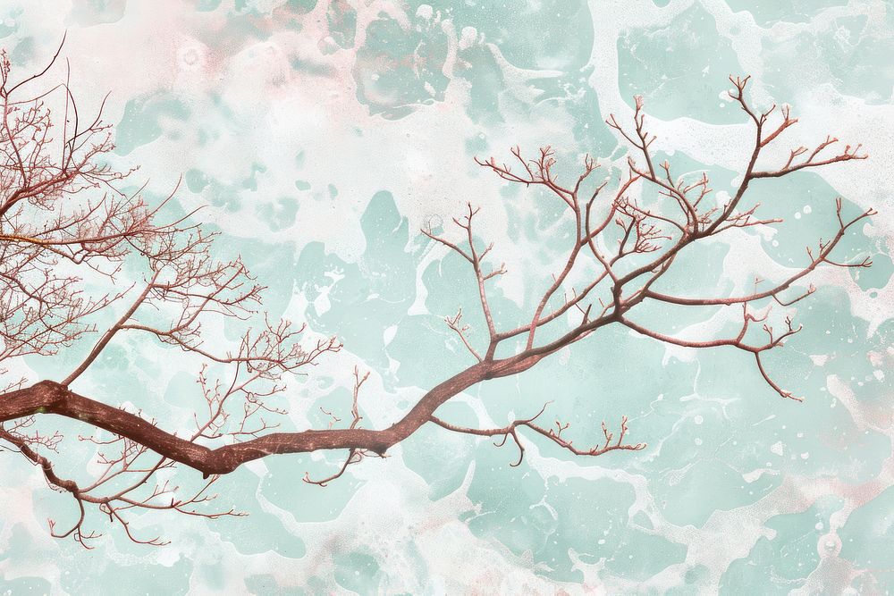 Tree branch on water pattern backgrounds outdoors nature.