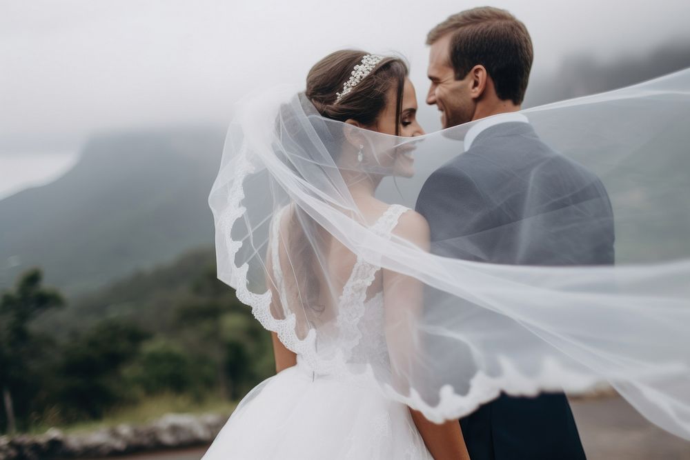 Wedding dress bride veil.