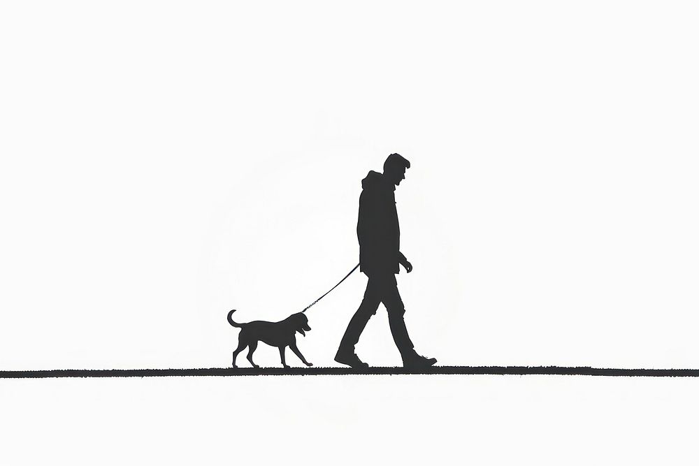A man walking with a dog silhouette animal mammal.