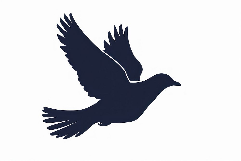A bird flying silhouette animal blackbird.