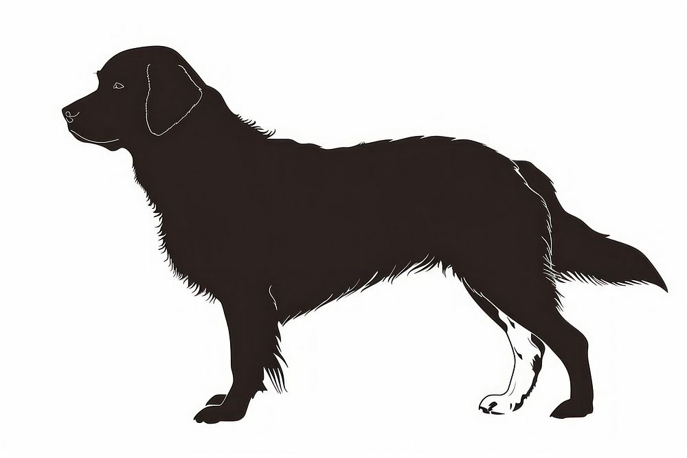 A dog silhouette animal mammal.