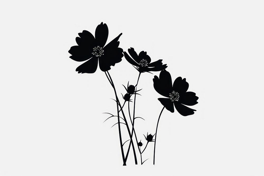 A flowers silhouette drawing sketch.