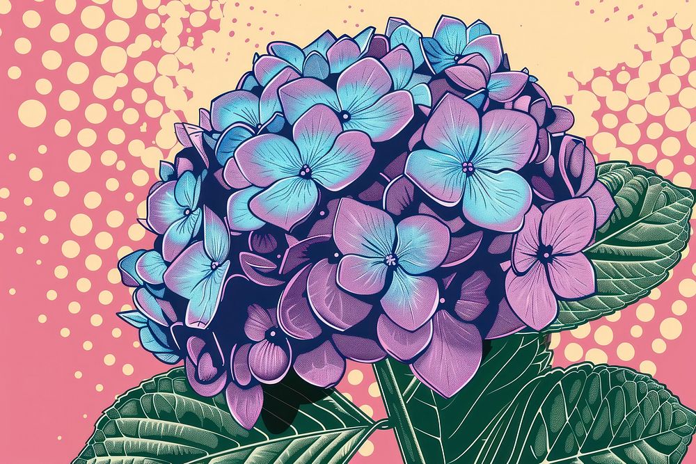 Vector illustrated of a hydrangea outdoors flower plant.