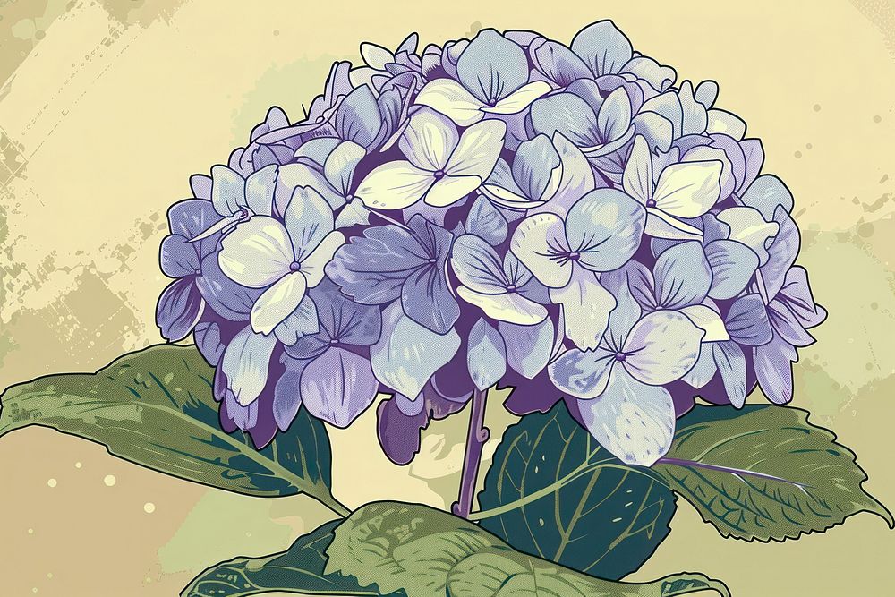 Vector illustrated of a hydrangea drawing flower sketch.