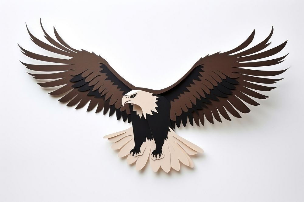 Eagle animal flying bird.