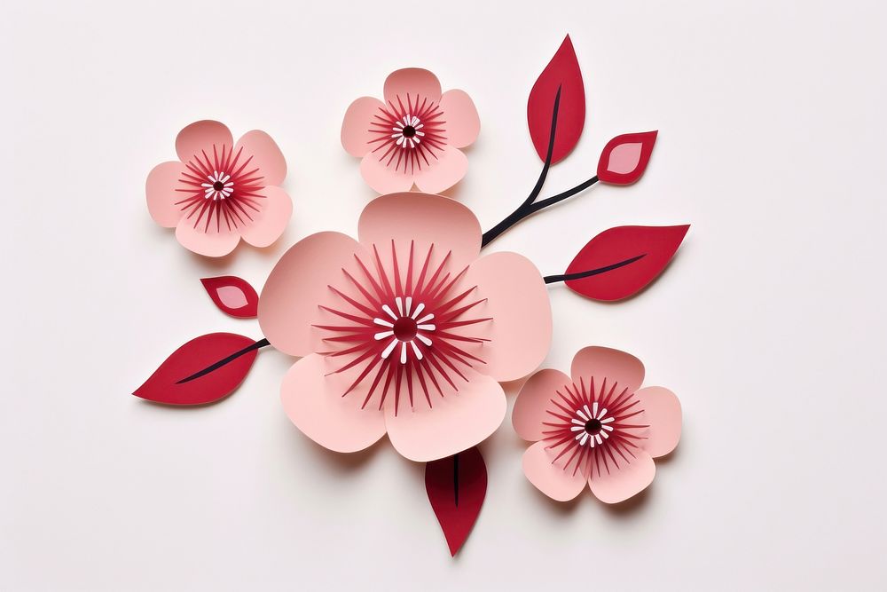 Sakura flower pattern petal plant.