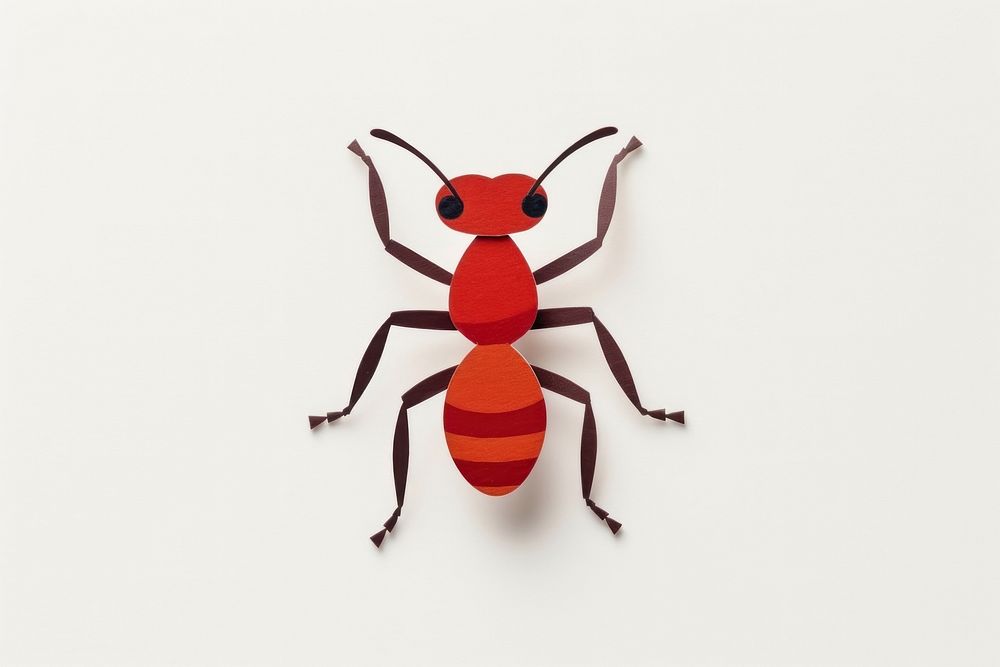 Ant animal insect invertebrate.