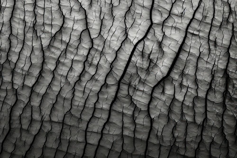 Scratch pattern texture wood tree.