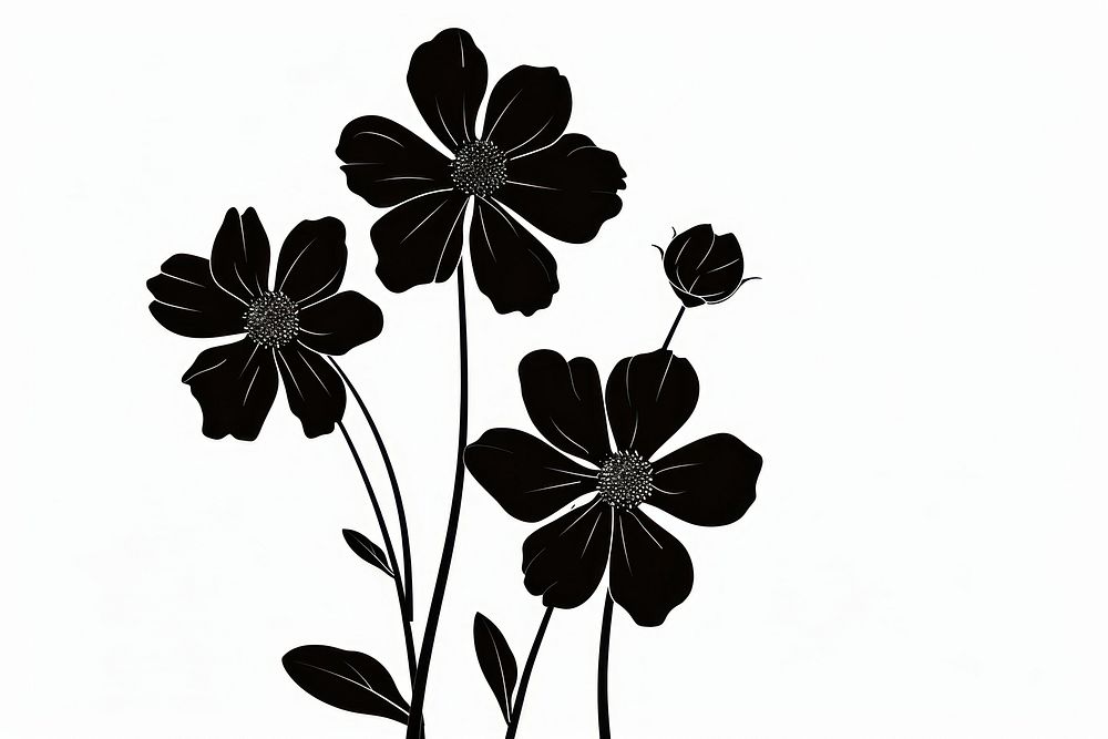 Flowers silhouette pattern plant.