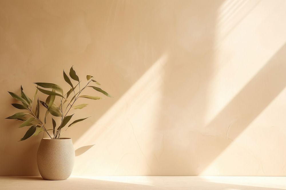 Light background with blurred foliage shadow wall plant leaf.