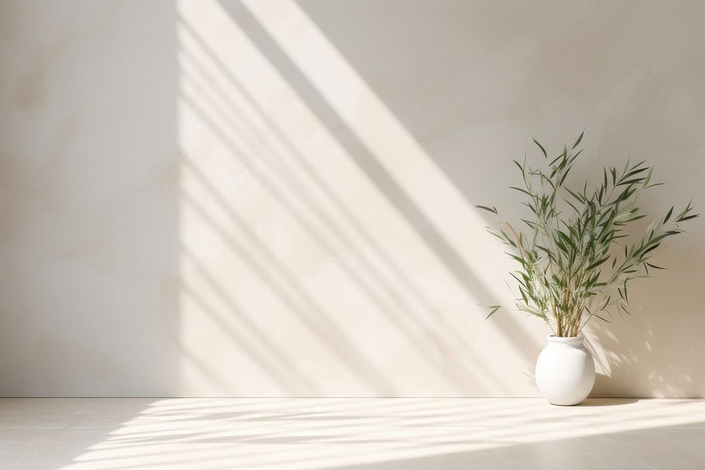 Light background with blurred foliage shadow wall architecture floor.