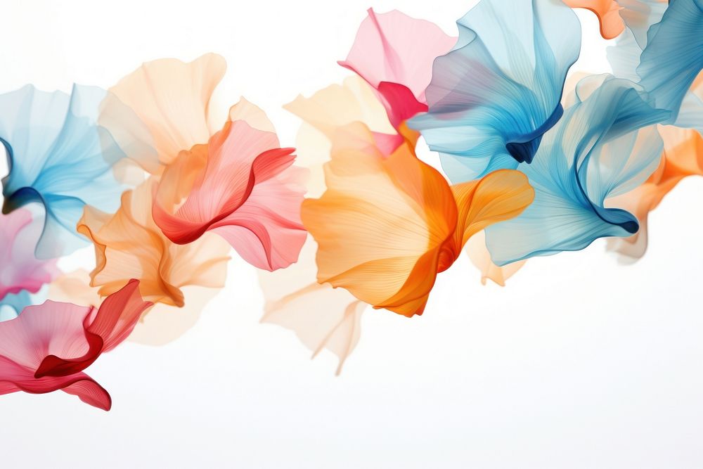 Multicolor petals backgrounds pattern creativity.
