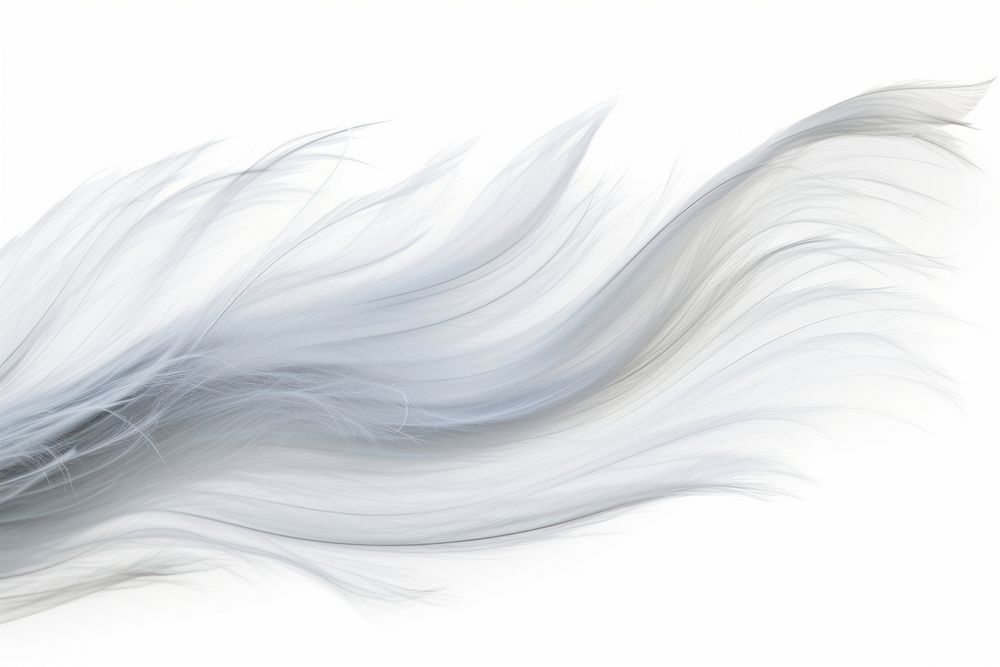 Winds backgrounds white white background.