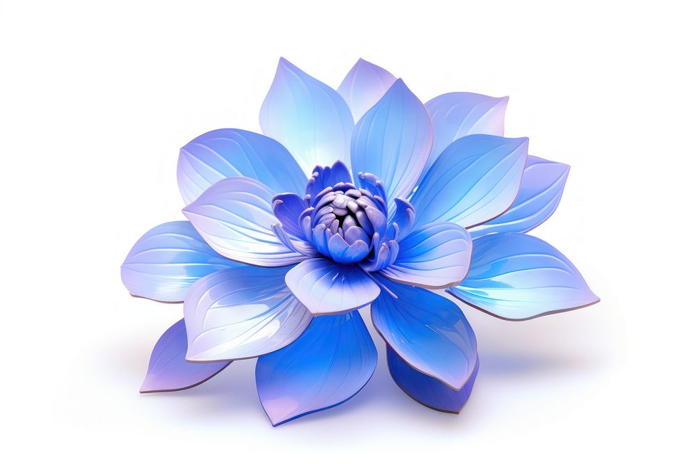 Blue flower dahlia plant blue.