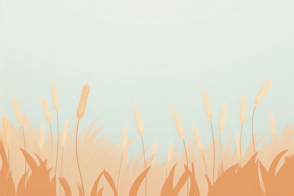 Wheat field border backgrounds grass plant.