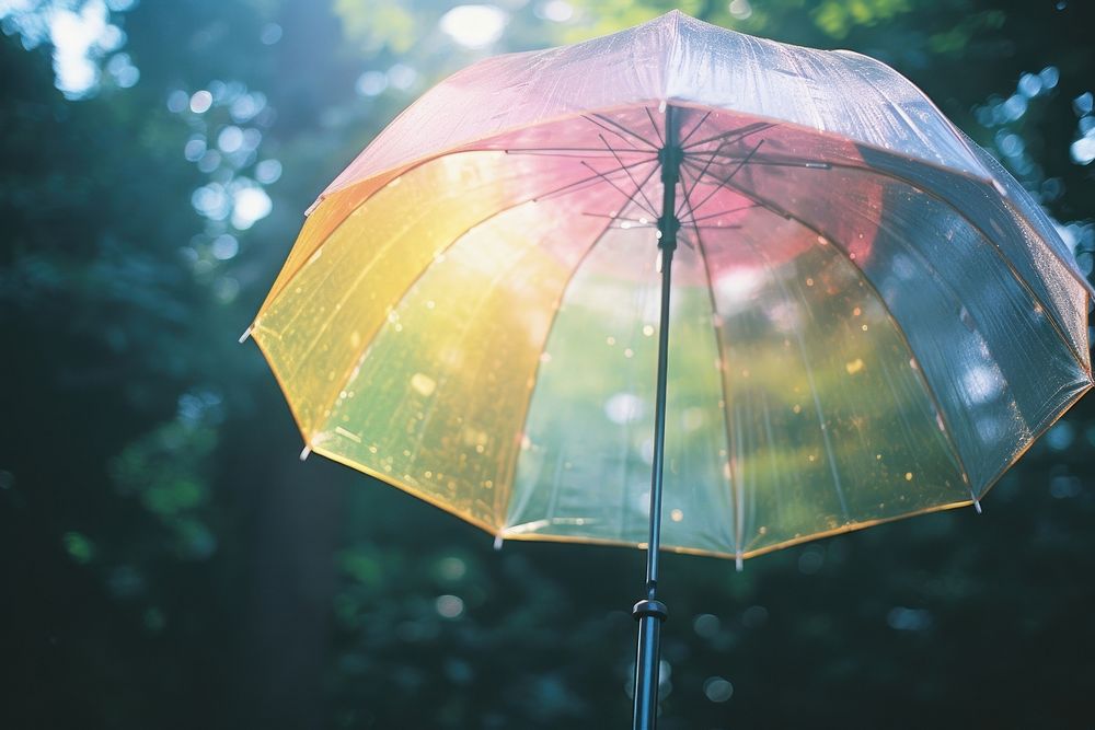 Umbrella rain tranquility protection.