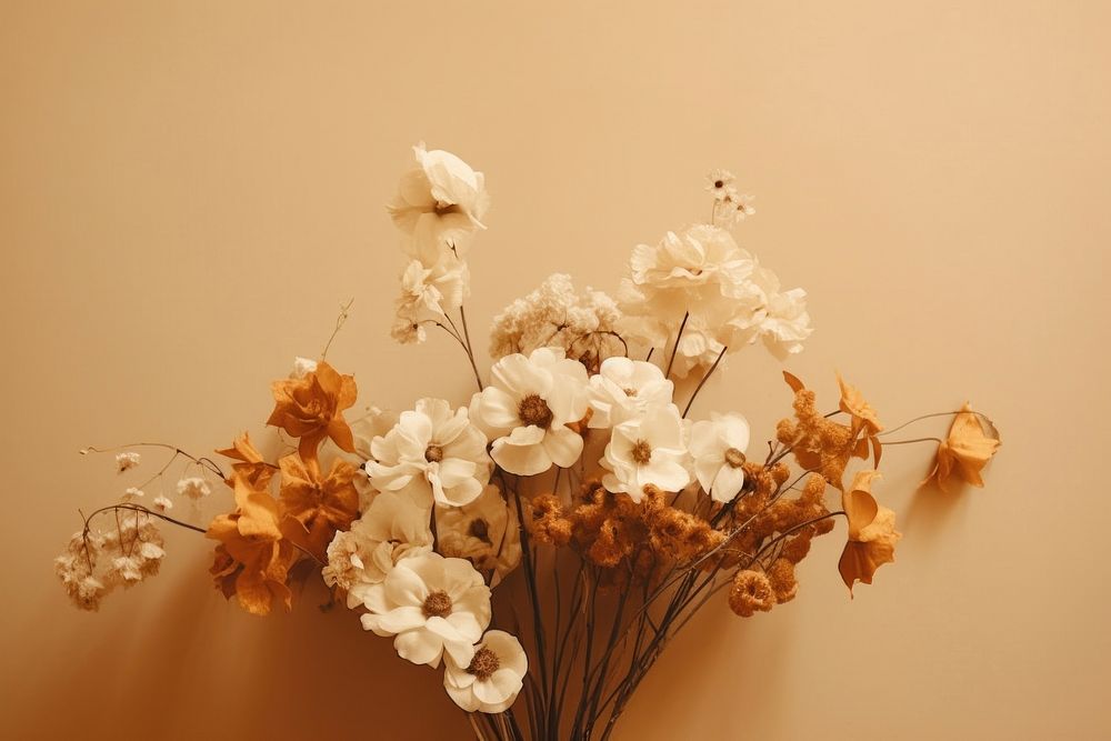 Photography of flower bouquet plant petal handicraft.