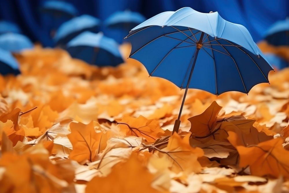 Autumn backdrop backgrounds umbrella leaves.