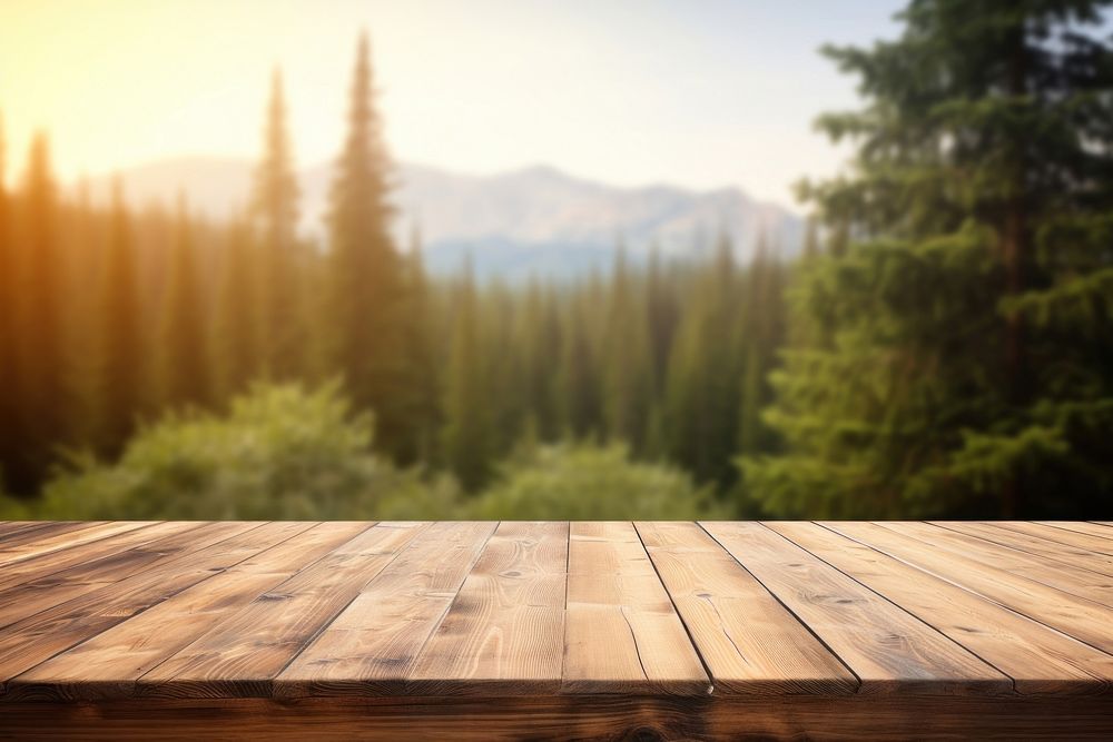 Forest backdrop table wood landscape.