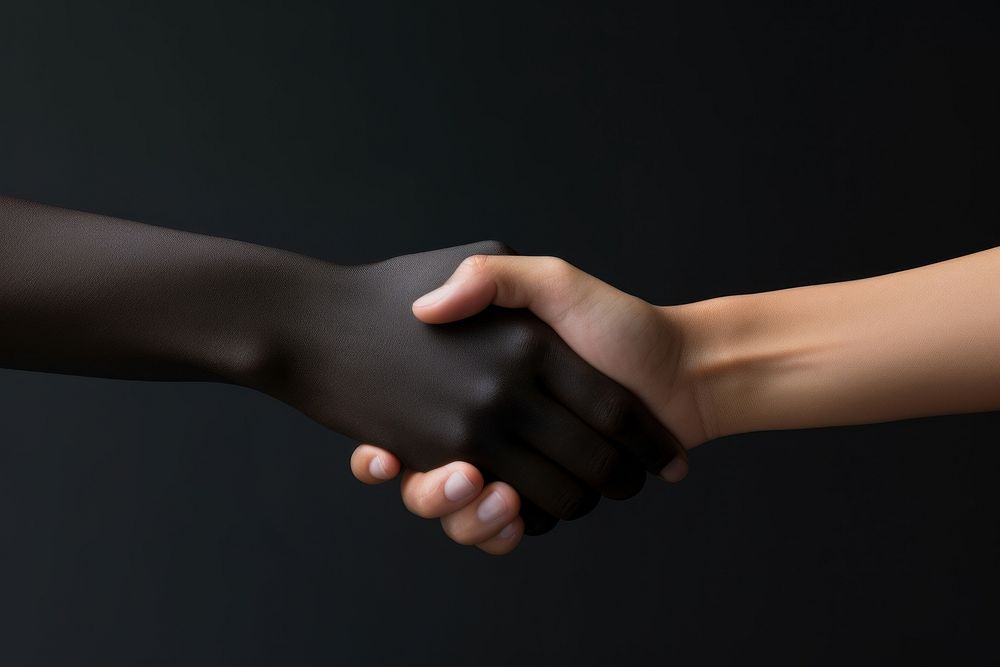Woman handshake black agreement touching.