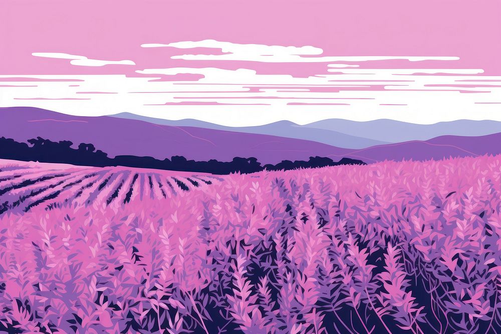 Pastal purple and pink of lavender field agriculture landscape outdoors.