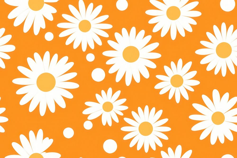 Daisy flower pattern backgrounds plant.