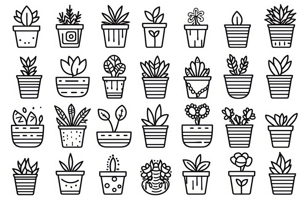 Small pocket garden drawing plant line.