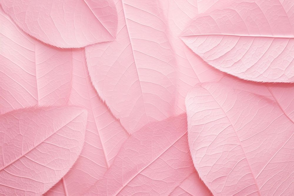 Pink leaf texture pattern backgrounds petal plant.
