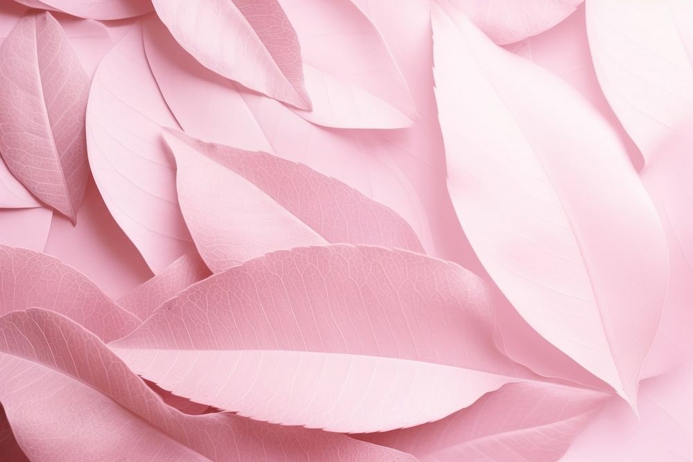 Pink leaf texture pattern backgrounds petal plant.