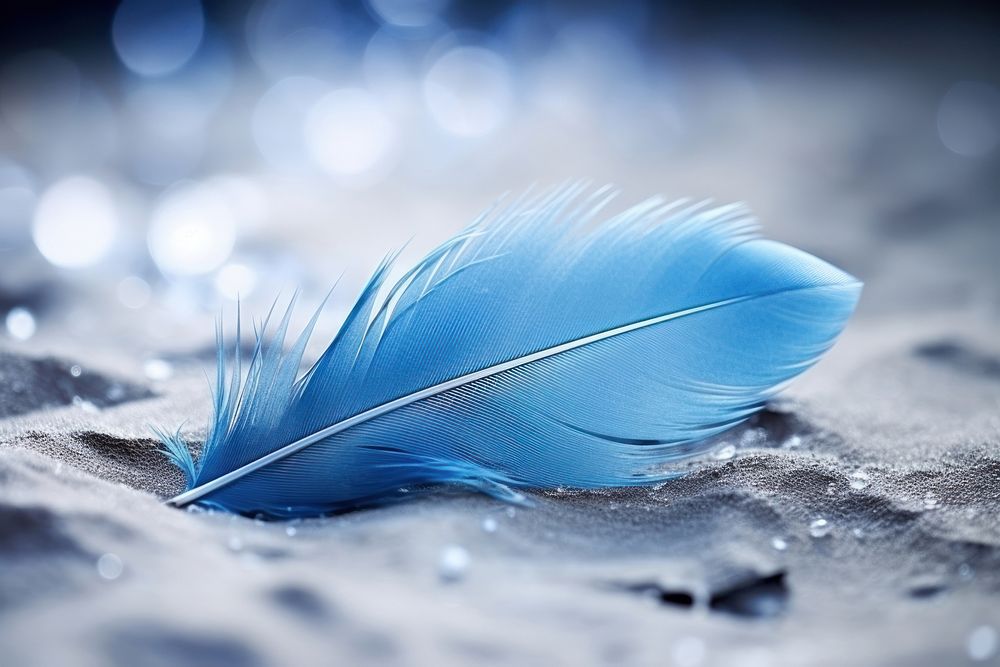 Nature feather blue lightweight.