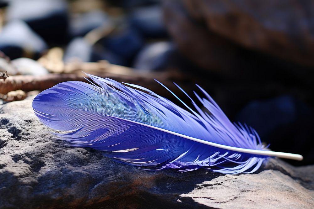Feather nature blue lightweight.
