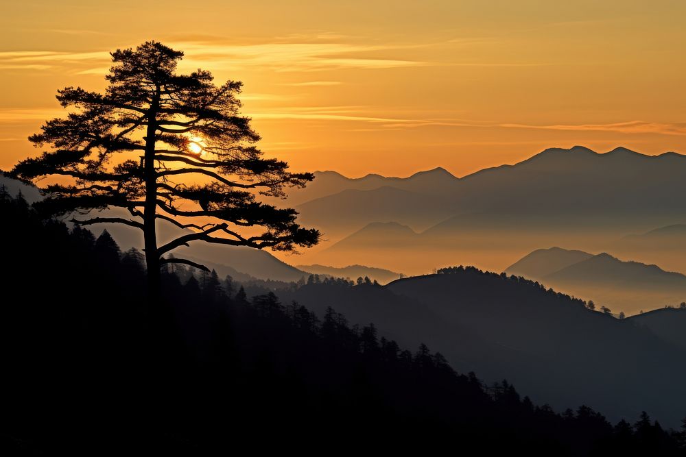 Landscape mountain silhouette sunlight.