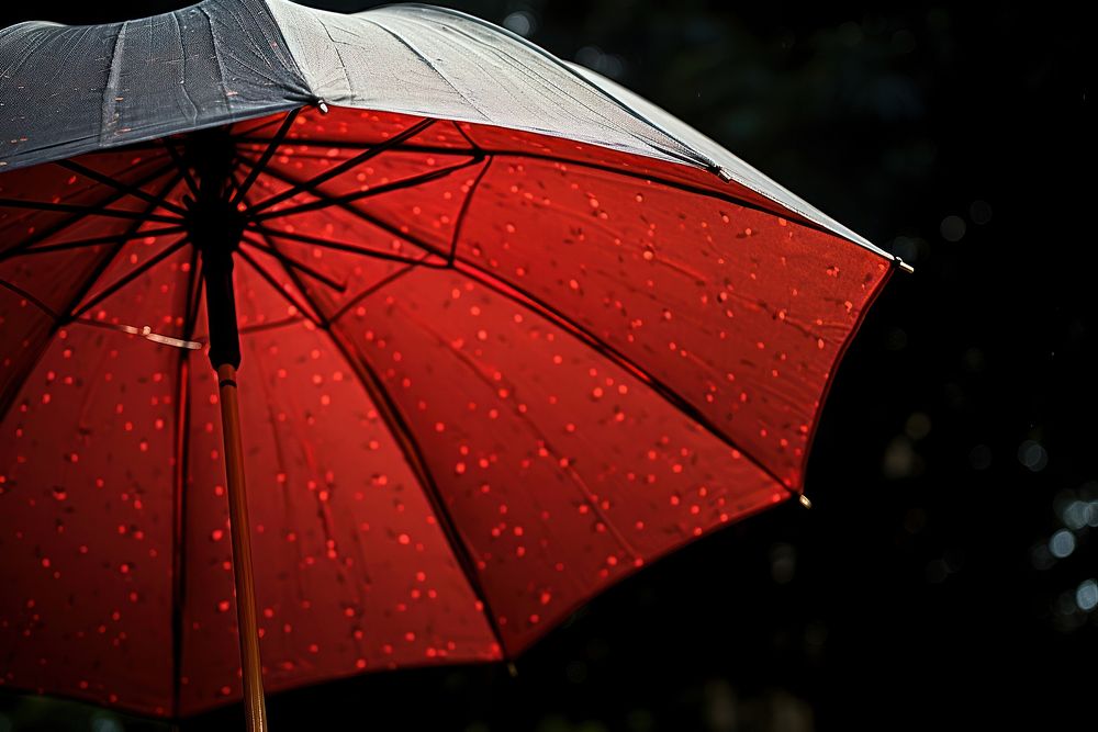 Umbrella protection sheltering shielding.
