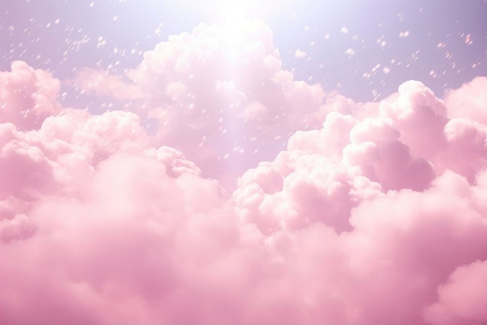 Pink rose on cloud pattern backgrounds sunlight outdoors.