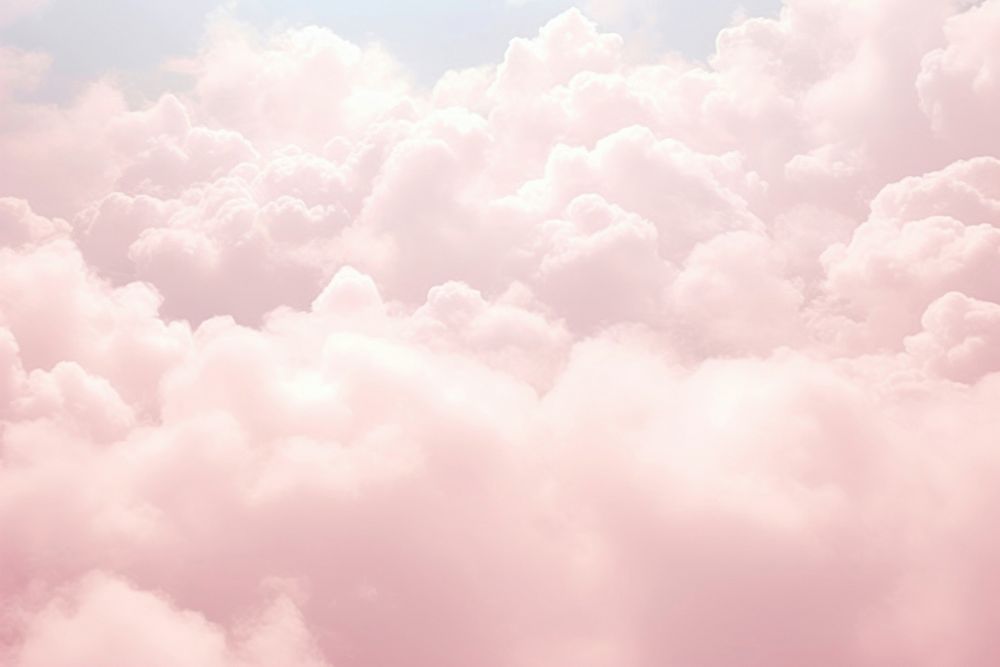 Pink rose on cloud pattern backgrounds outdoors nature.