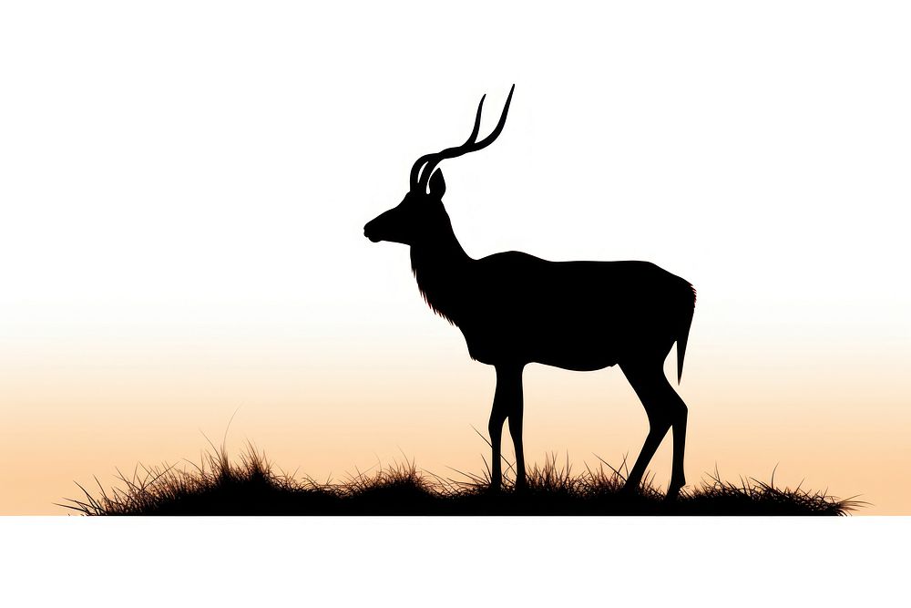Antelope silhouette wildlife animal.