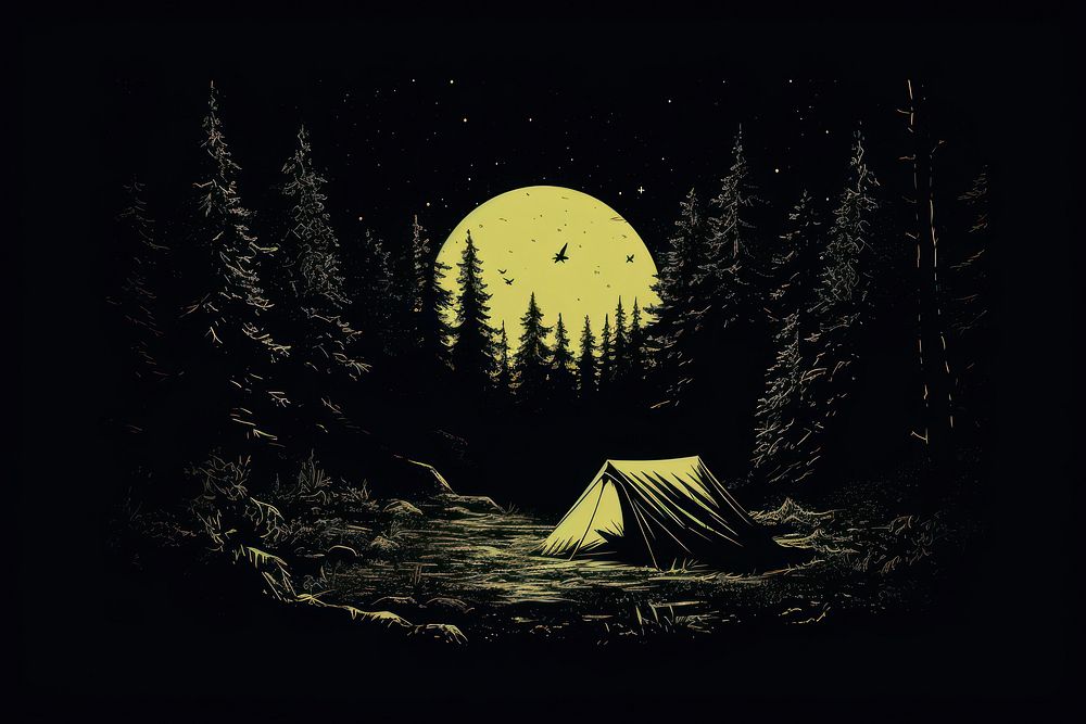 Camping nature outdoors night.