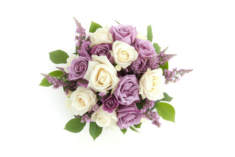 Bouquet of soft lilac rose flower plant.