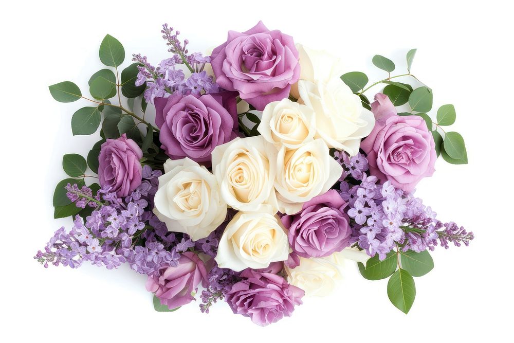 Bouquet of soft lilac rose flower plant.