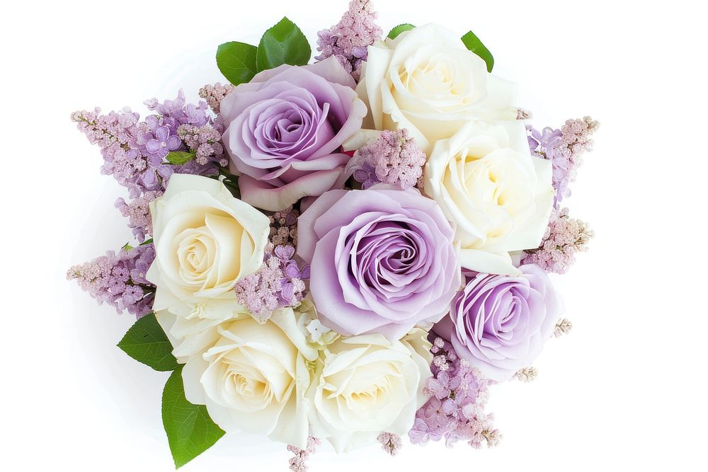 Bouquet of soft lilac rose blossom flower.