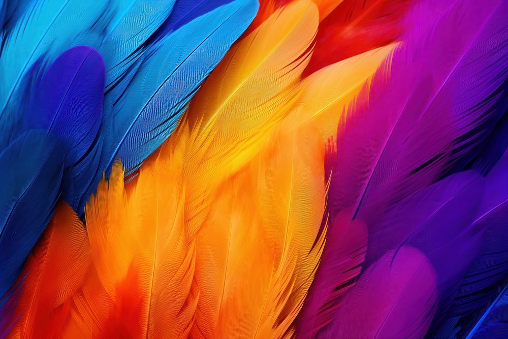 Abstract colourful feathers background backgrounds pattern bird.
